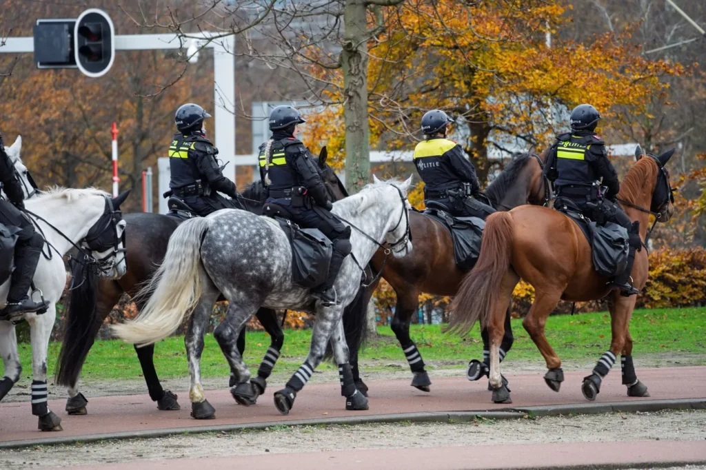 Berede ryttere i gule refleksveste og hjelme rider på række langs en vej i et efterårsklædt parkområde