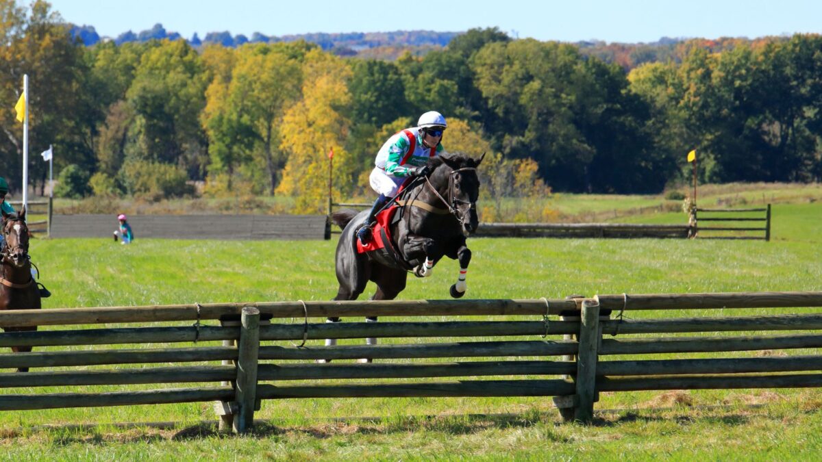 Supercomputere er uenige om Grand National 2026: Grangeclare West mod Panic Attack på Aintree