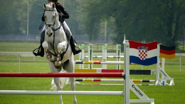 Willie Mullins-stjernen I Am Maximus faar igen topvaegt foran Grand National 2026 paa Aintree