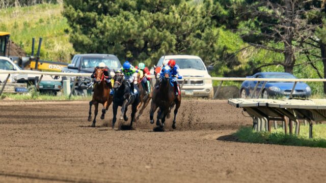 Ekstrem hedebølge lukker Delaware Park onsdag den 15. juli