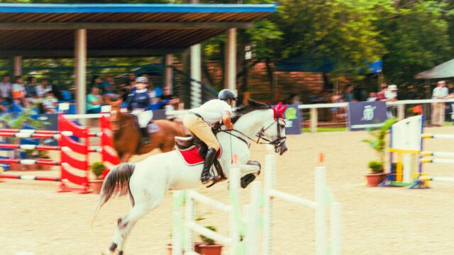Tre lovende 9-årige springheste at holde øje med før VM i Aachen
