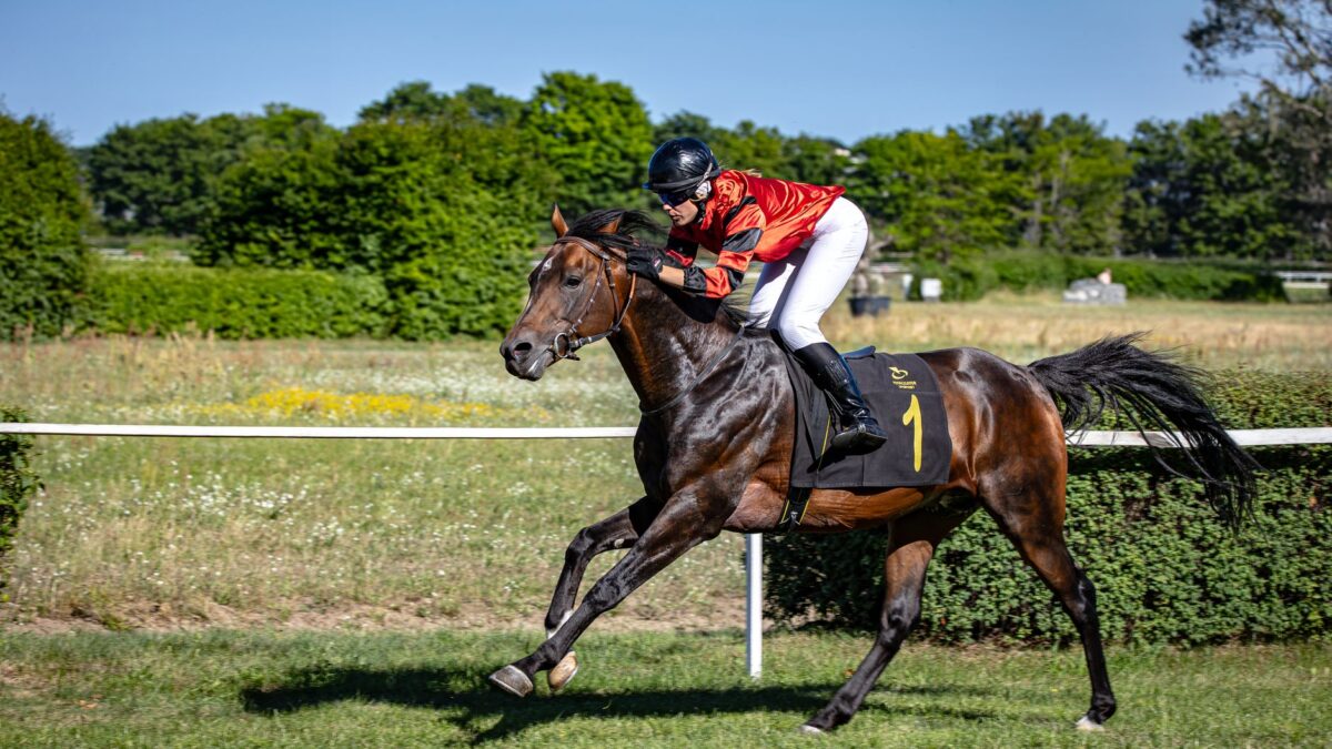 Renegade fuldførte sidste træningsgalop før Jim Dandy Stakes på Saratoga
