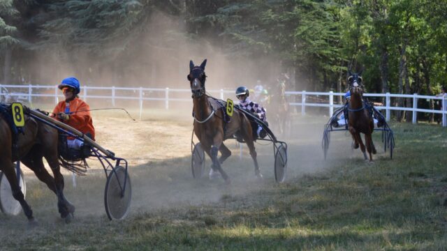 Inexess Bleu vandt spændende Prix Jean-Luc Lagardere på Enghien