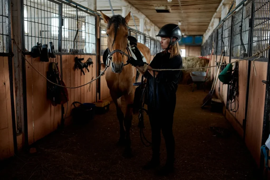 Rytter i ridehjelm, handsker og ridetøj gør sin hest klar til ridning i en stald – udstyr til begyndere