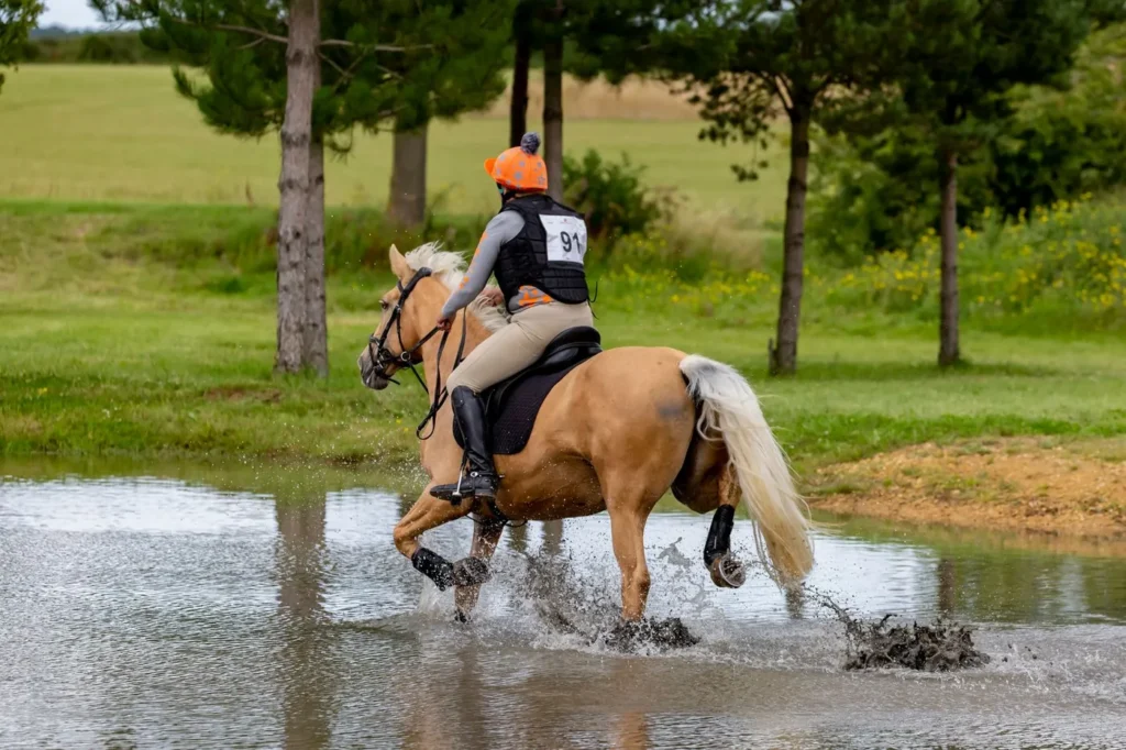 Rytter med sikkerhedsvest og ridehjelm rider en lys hest gennem en vandforhindring i terrænet