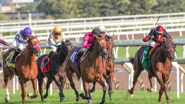 A Boy Named Susie suveræn i Royal Whip Stakes på The Curragh