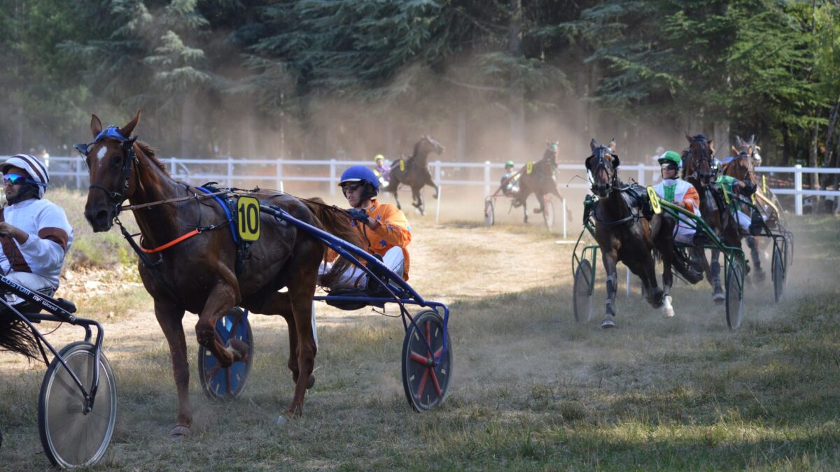Archon vinder sin første sejr i New York Sire Stakes på Tioga Downs