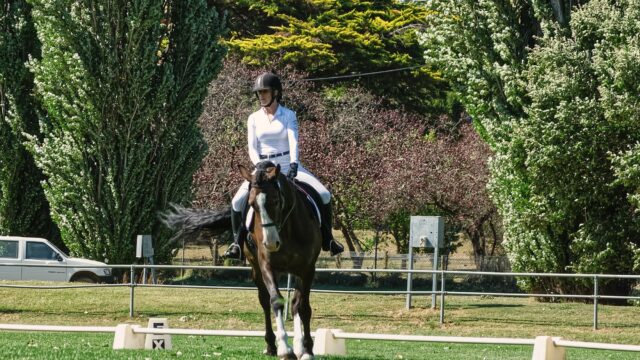 Amerikansk rytter får 25.000 dollar fra Debbie McDonald-fond til dressurkarriere
