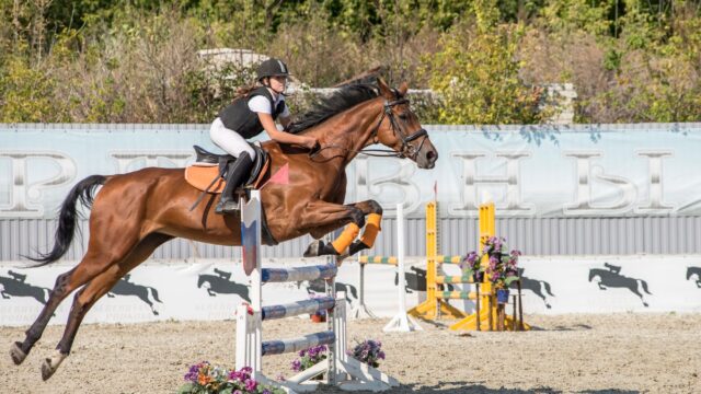 Brasiliansk OL-rytter dropper landsholdet efter selektionsdrama før VM i Aachen