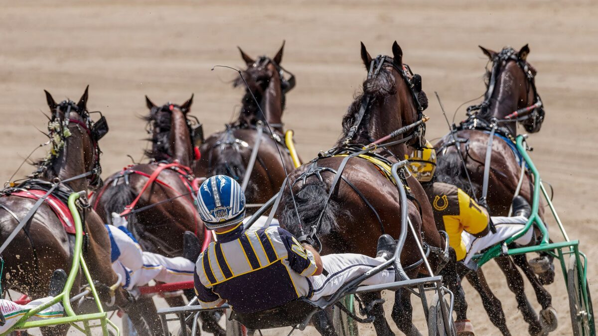 Huntsville-afkom dominerede New York Sire Stakes på Batavia Downs