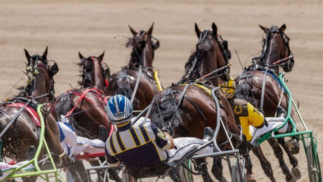 Huntsville-afkom dominerede New York Sire Stakes på Batavia Downs