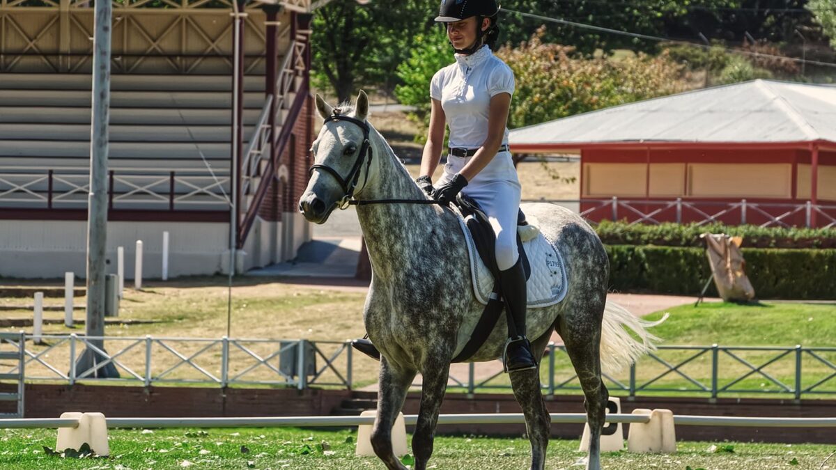 Danmark tog VM-bronze i dressur, da Tyskland vandt guld foran hjemmepublikum i Aachen