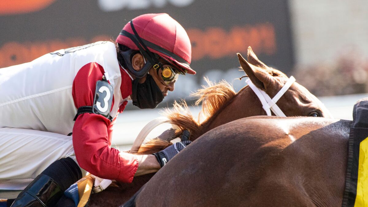 Sun Goddess topper Timeforms europæiske 2-års rating efter sejr i Harry’s Half Million