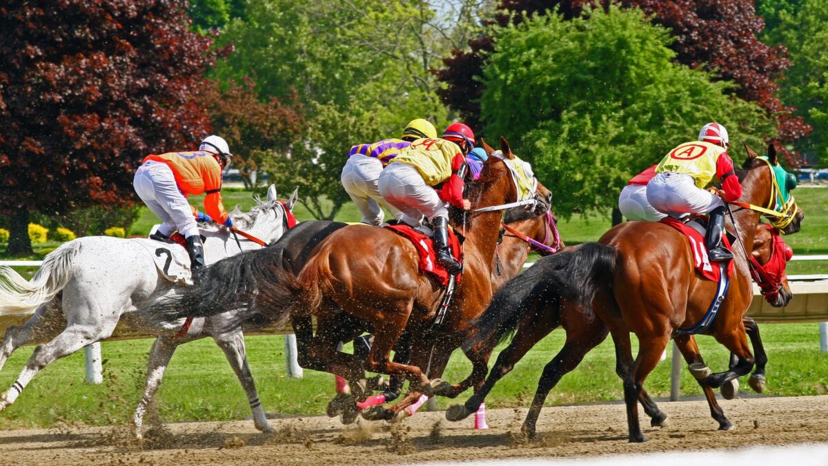 Notable Speech vandt sin sjette Group 1-sejr i City of York Stakes