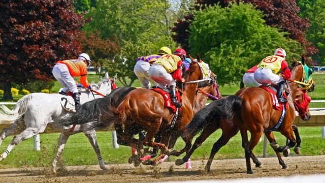 Ombudsman får ny officiel rating efter suveræn Ascot-triumf