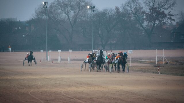 Braxten Boyd firdobler på Tioga Downs med sejr i Open Trot
