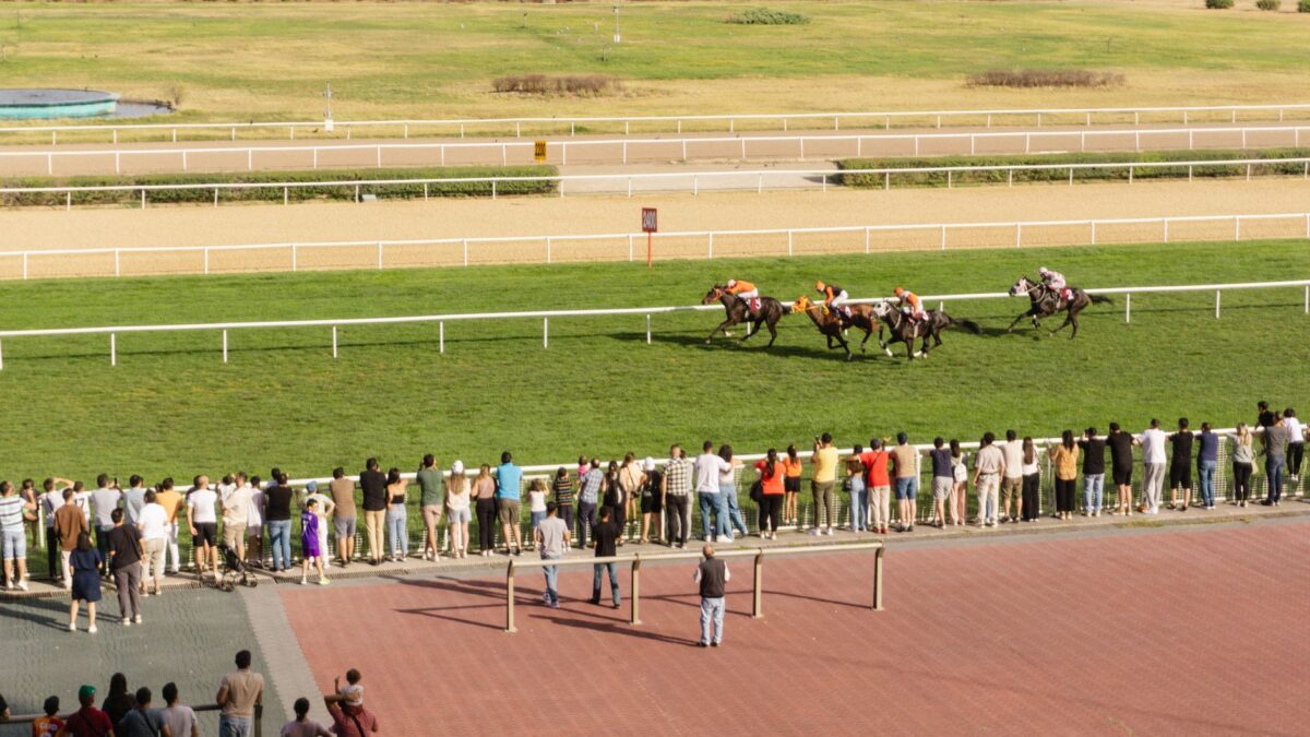 Claimet for kun 8.000 dollars: Micanopy vandt Smarty Jones Stakes på Parx