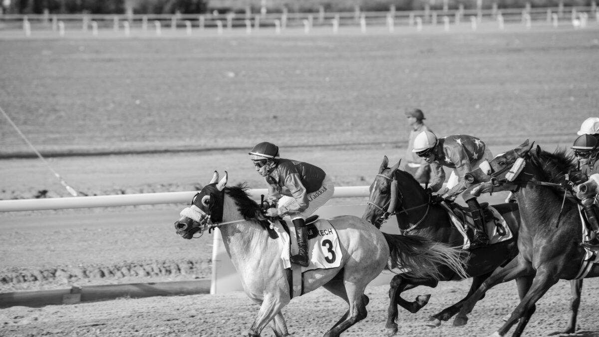 Saratoga og Curragh byder på stjernefelter i stor galopuge