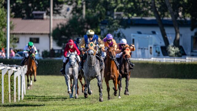 Adonius jagtede sejr i Molecomb Stakes på Goodwood – endte som toer