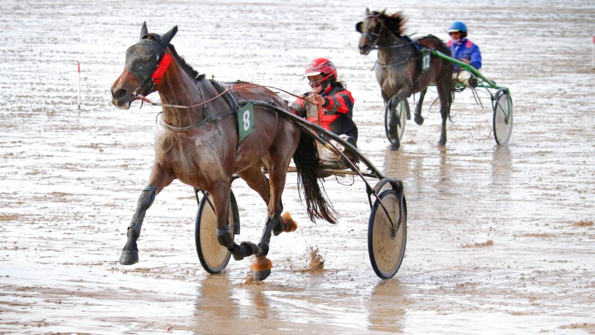 Fire hopper vandt hver sit New York Sire Stakes-heat på Tioga Downs