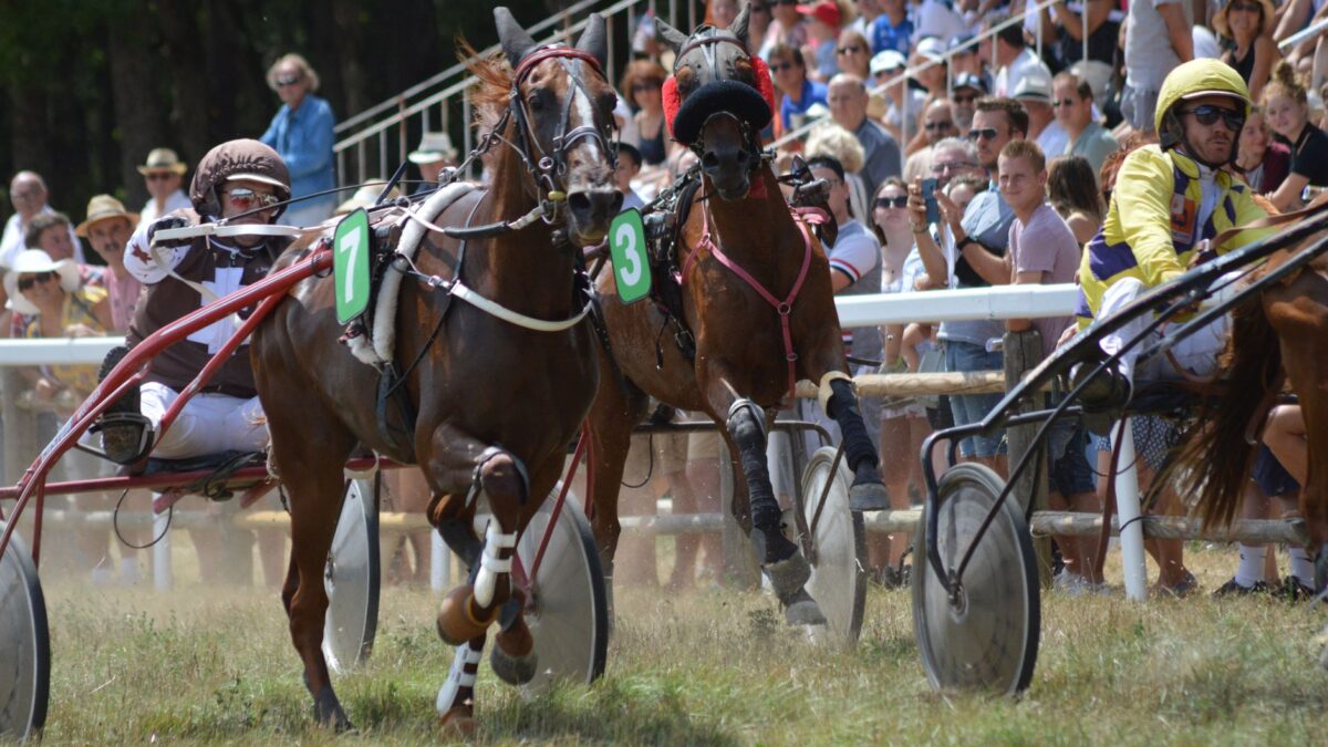 Wall Of Fame og Wrong Sounds Right vandt New Jersey Sire Stakes-heat på Meadowlands