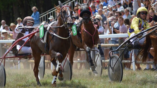 Wall Of Fame og Wrong Sounds Right vandt New Jersey Sire Stakes-heat på Meadowlands