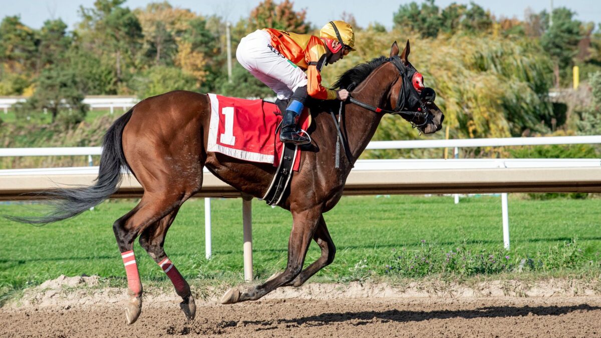Enfjaar overrasker i Coral Glorious Stakes – favoritten Opportunity må se sig besejret