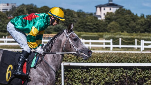Galway leverede vare: Favoritter og overraskelser i flotte marathonløb