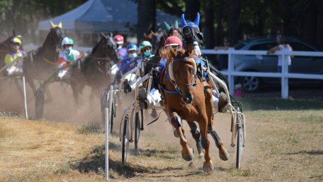 American Fling vandt nervepirrende opgør på Pocono Downs – Kakaley kørte tredobbelt sejr hjem