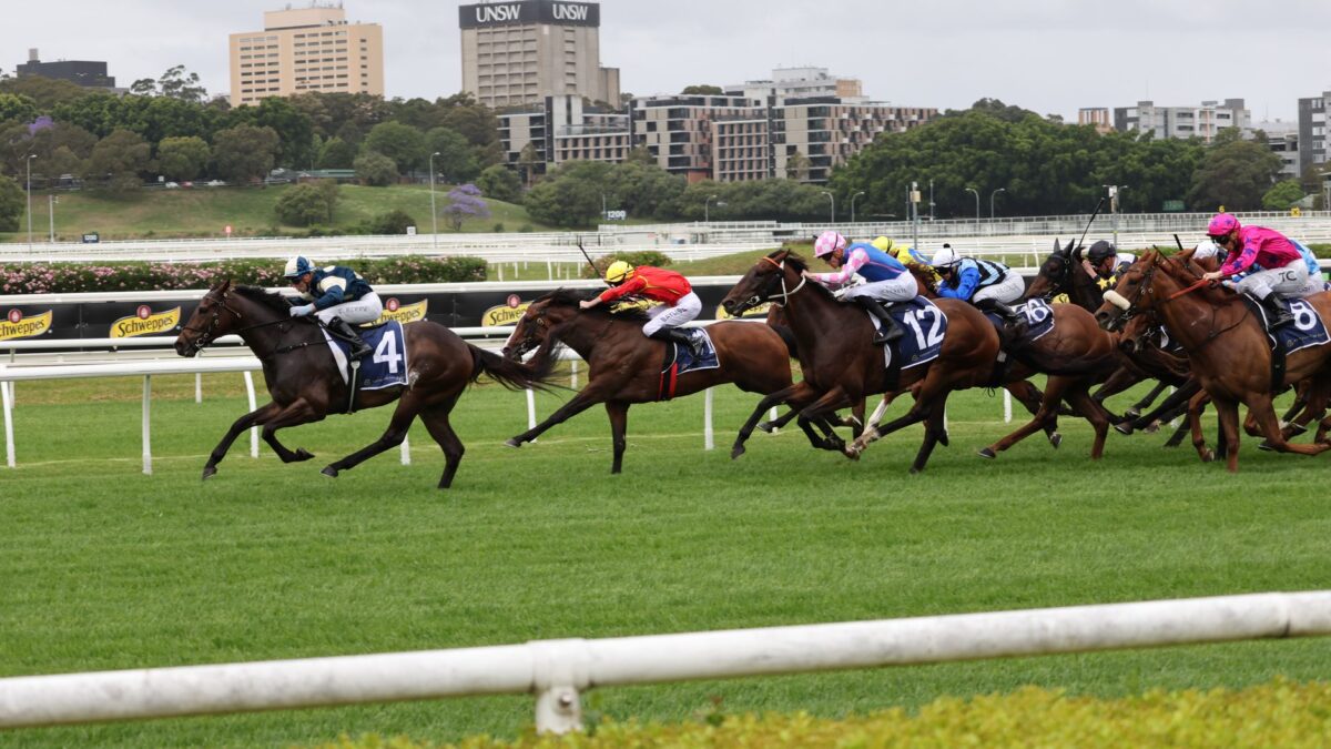 Jim Crowley stopper karrieren 10 måneder efter alvorligt styrt i York