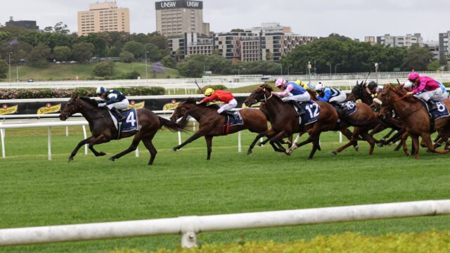 Jim Crowley stopper karrieren 10 måneder efter alvorligt styrt i York