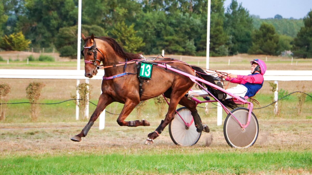 No Small Wonder vandt tredje Maine Sire Stakes-løb i træk på Cumberland
