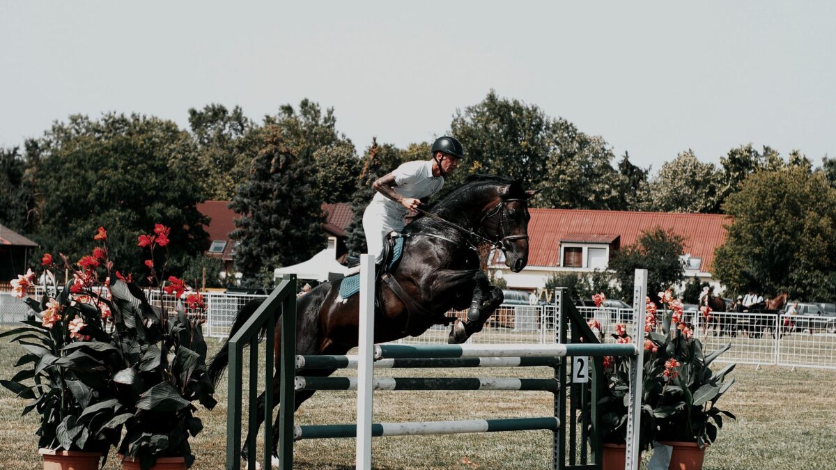 Dutton skifter hest: Rider Denim i stedet for skadede Possante ved VM i Aachen