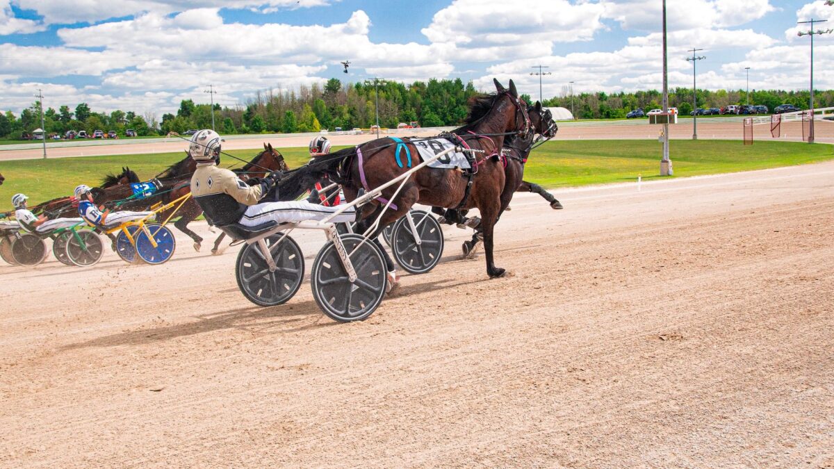 Lodtrækning til Hambletonian og Oaks afholdes tirsdag i New Jersey