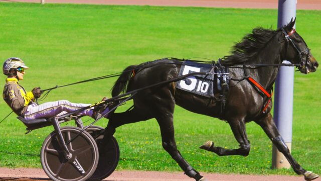 Cash Money Twenty tangerer banerekord i Dan Patch FFA-finalen