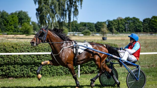 Dansk ejet Busy Miss Lissy S udfordrer i Hambletonian Oaks-finalen