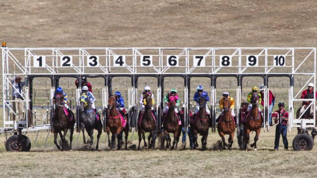 Preakness Stakes rykkes til søndag i 2027 – ny dato skal styrke Triple Crown
