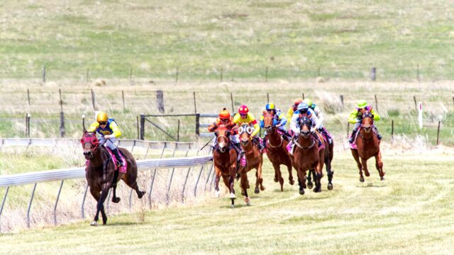 Gosden sigter mod Lonsdale Cup-forsvar med Trawlerman på York-mødet