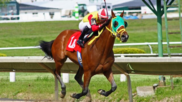 First Law bekræfter favoritstatus i tæt duel på Sandown