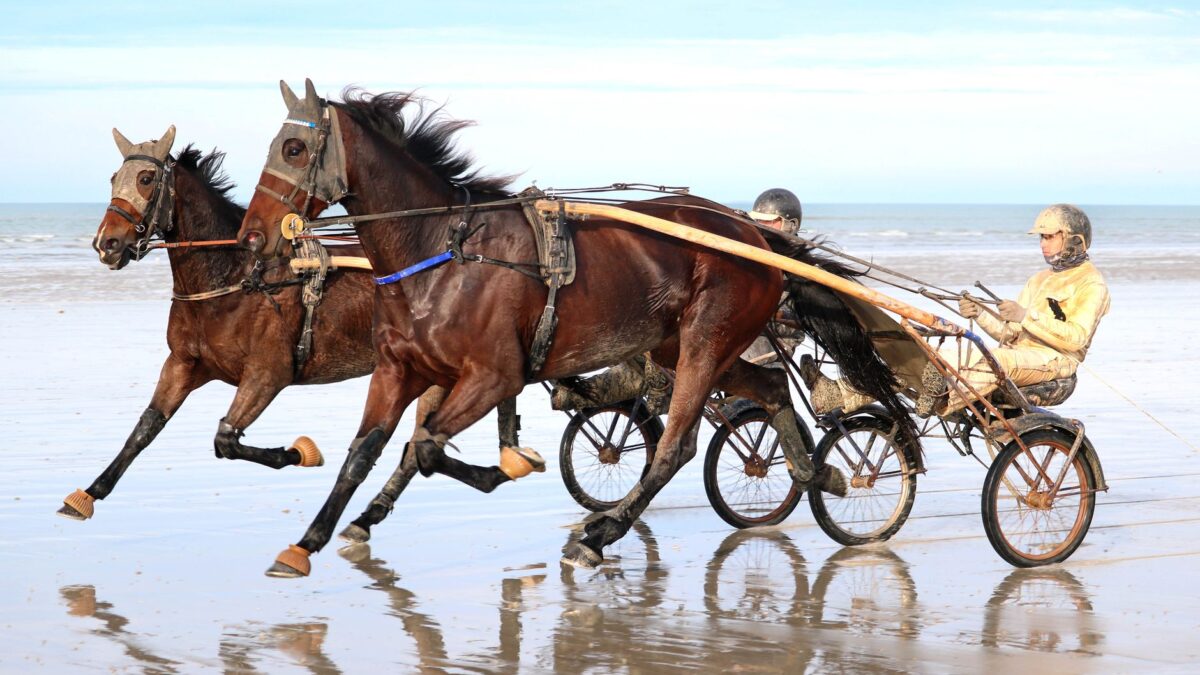 Norsk Powwow klar til nyt forsøg i MGM Yonkers International Trot
