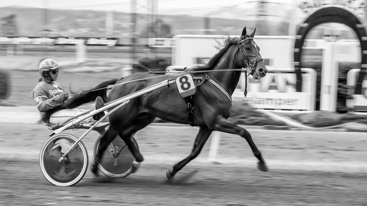 Sidste frist nærmer: Tilmelding til Winner’s Circle Speed Sale lukker 10. august