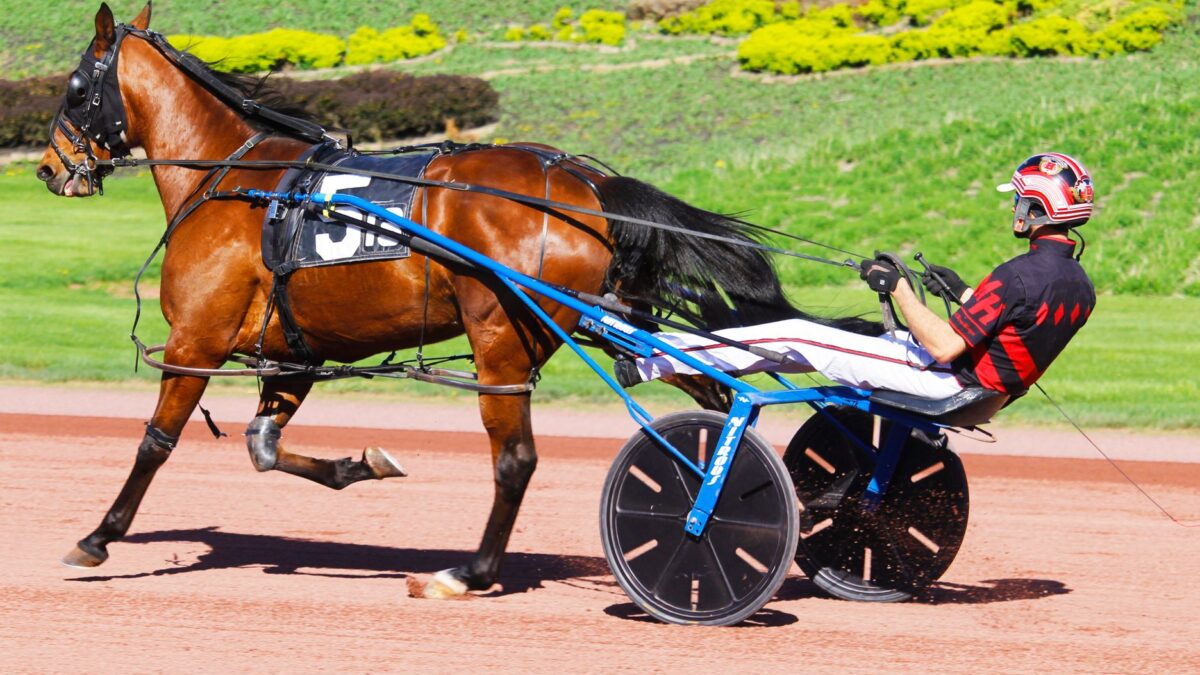 James MacDonald vandt drømmeløb: North America Cup med Odds On Mr Mamba