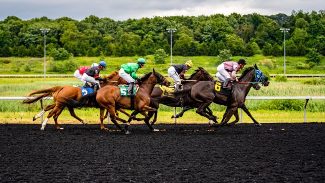 Frankel-søn Desert Castle imponerede stort på debuten i Newmarket