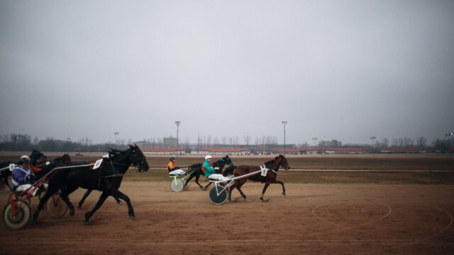 Fra 5.000 dollar til Hambletonian: Captain Naughtys utrolige familiehistorie