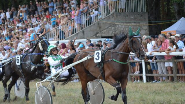 Walspea satte livstidsrekord med sejr i Steele Memorial på Meadowlands