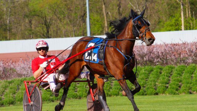 Blackhawk Zette satte livstidsrekord i Open Trot på Tioga Downs