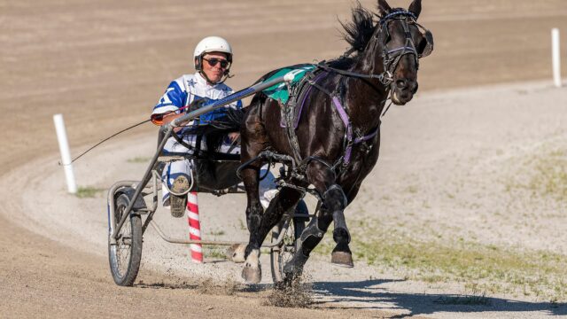 Dandy Ideal suveræn i dagens hurtigste løb på Pocono Downs