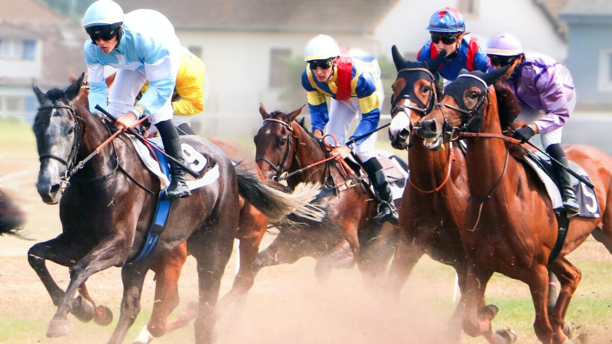 Frankel-datter Kalimaat imponerede stort i sejrrigt galopdebut i Deauville