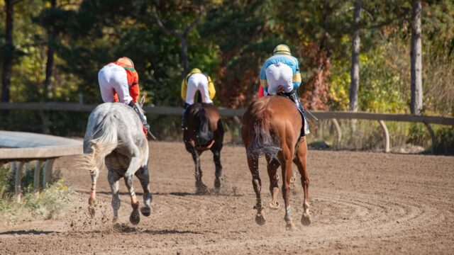 Sun Goddess gav Aidan O’Brien historisk 18. Phoenix Stakes-sejr