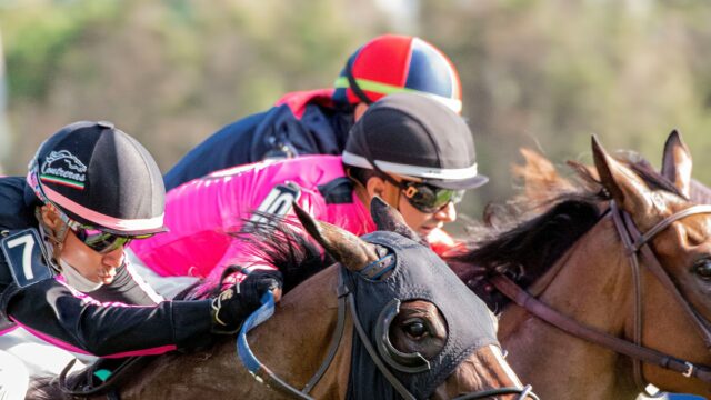 Ombudsman forsvarede Ascot-krone og fik ny rekordhøj officiel rating